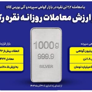 ‌حجم و ارزش معاملات روزانه شمش نقره رکورد زد