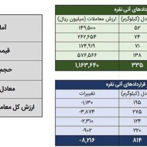 معامله ۹۸۱ کیلوگرم شمش نقره در بورس کالا