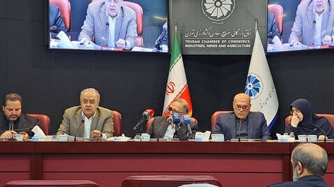 بخش خصوصی خواهان ارز تک‌نرخی و حذف قیمت‌گذاری دولتی است/ تداوم قیمت‌گذاری دولتی در شرایط تغییر نرخ ارز، ناسازگار با ساختار هزینه‌ای بنگاه‌ها  است