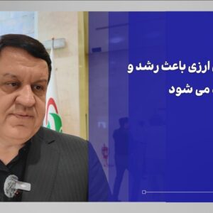 صندوق‌های ارزی باعث رشد و تقویت تولید می‌شود + ویدئو